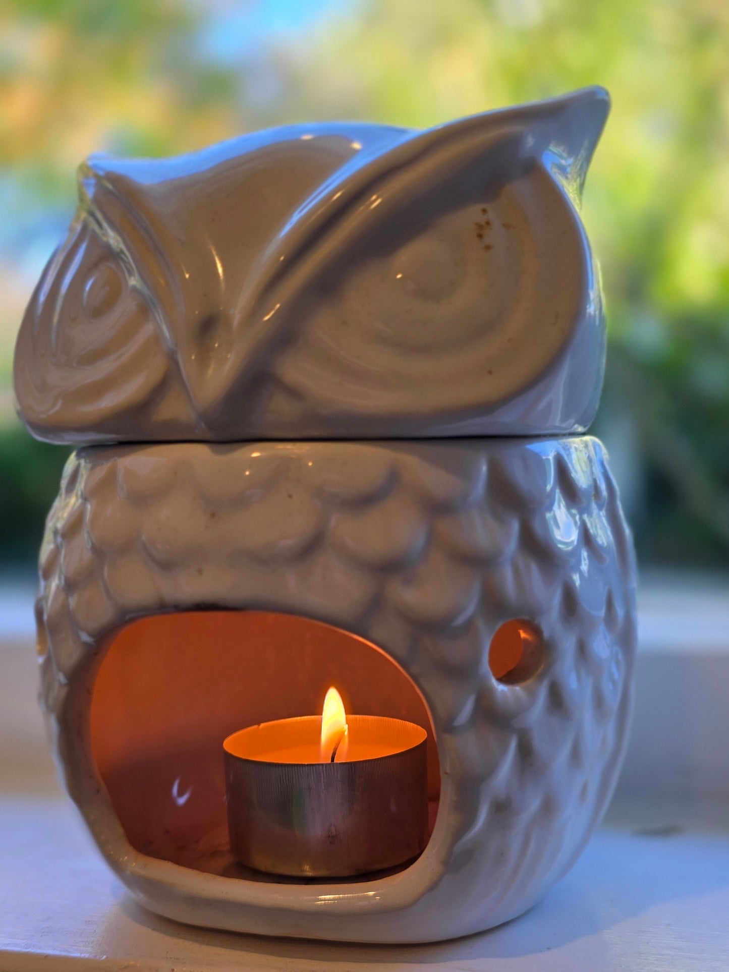 Wax Melts